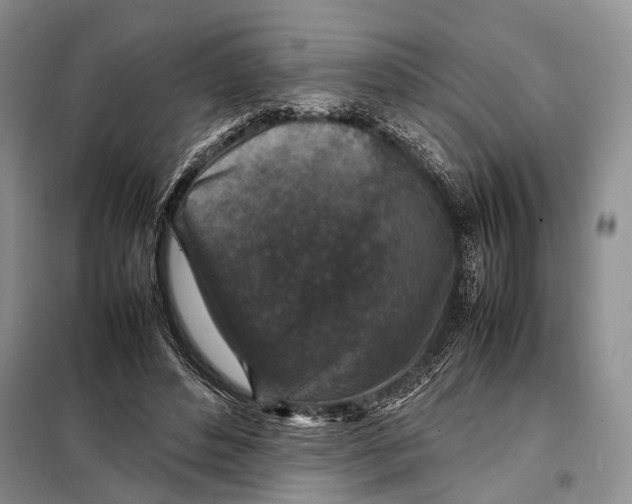 X0000098020496200804181206
