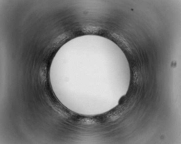 X0000098020498200804181206
