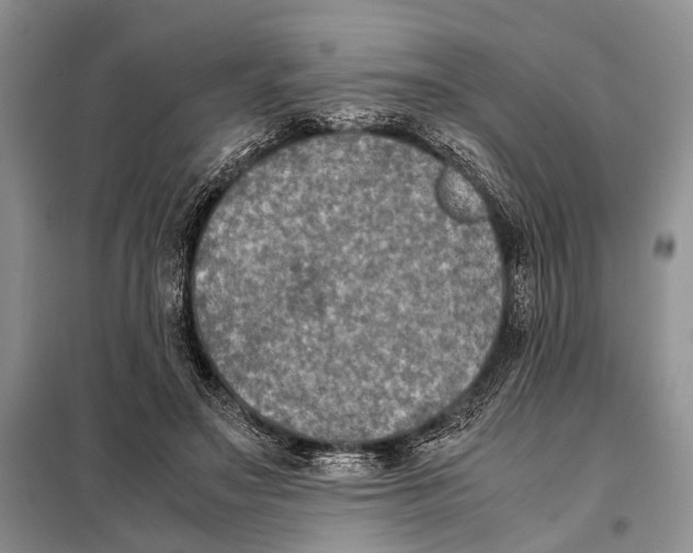 X0000098020499200804181206