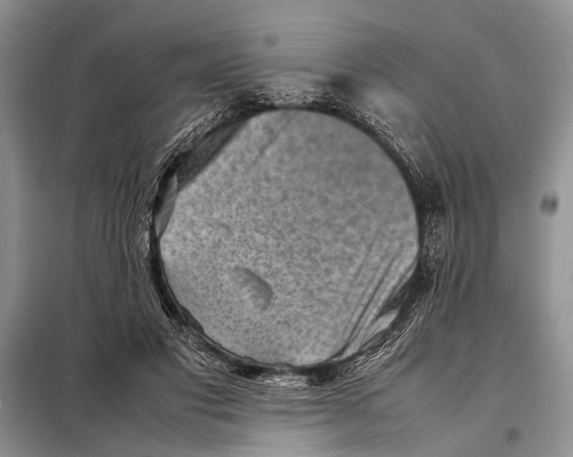 X0000098020501200804181206