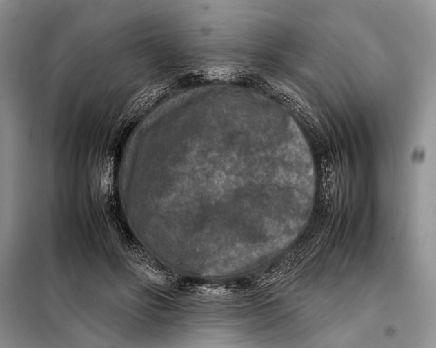 X0000098020502200804181206