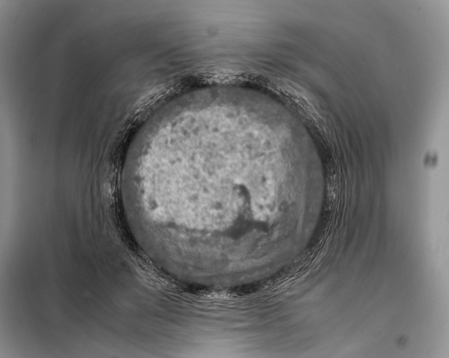 X0000098020503200804181206