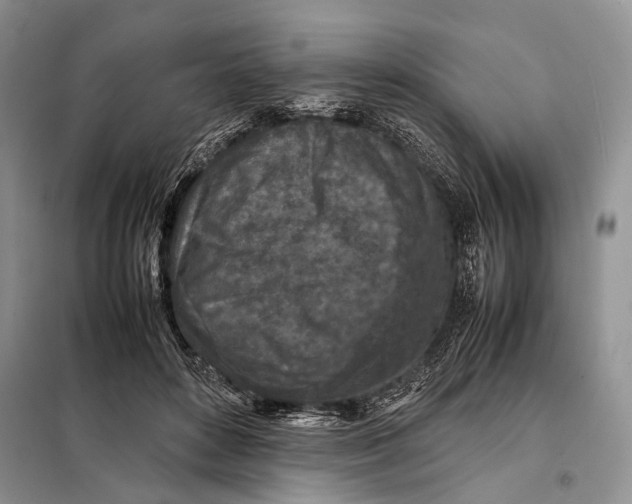 X0000098020504200804181206