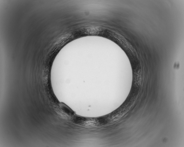 X0000098020505200804181206