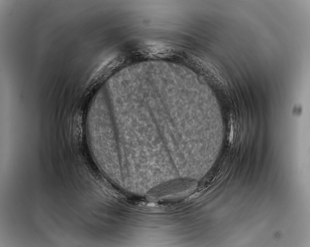 X0000098020506200804181206