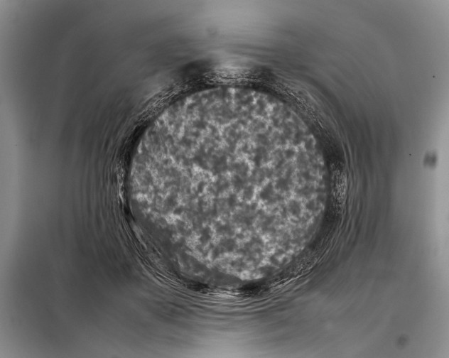 X0000098020507200804181206