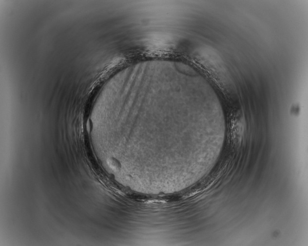 X0000098020508200804181206