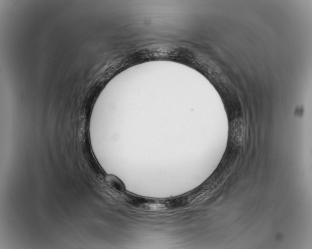 X0000098020509200804181206