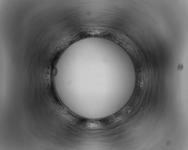 X0000098020510200804181206