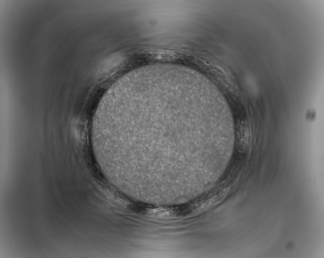 X0000098020511200804181206