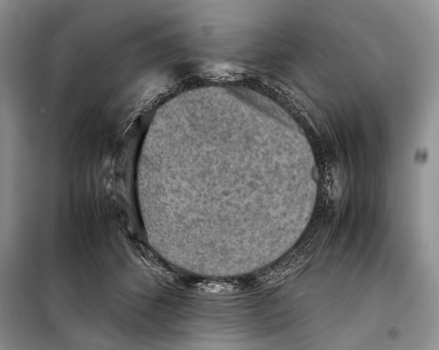 X0000098020512200804181206