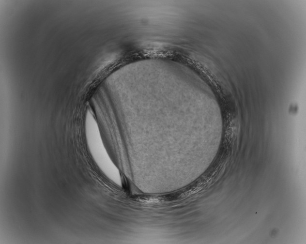 X0000098020513200804181206