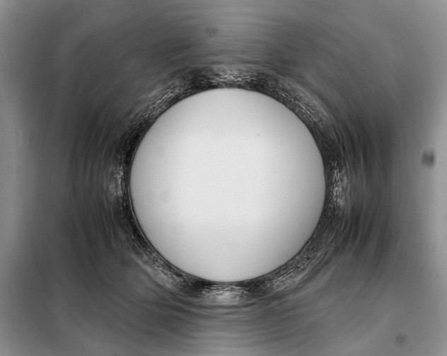 X0000098020514200804181206