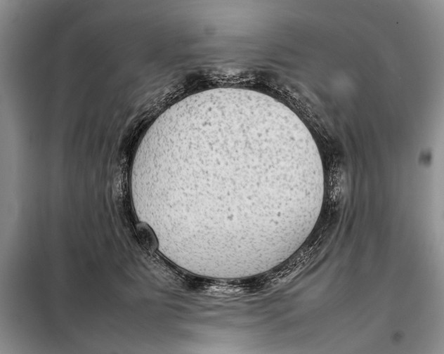 X0000098020515200804181206