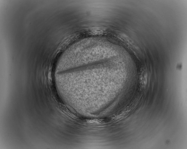 X0000098020516200804181206