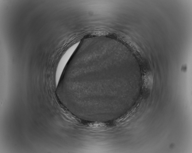 X0000098020517200804181206