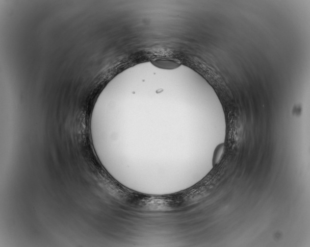 X0000098020518200804181206