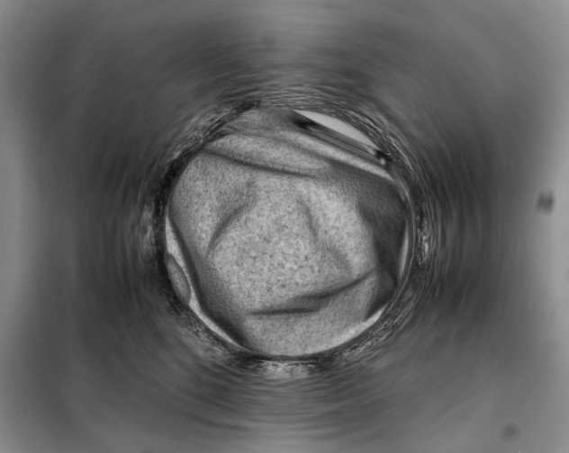X0000098020520200804181206