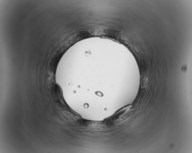 X0000098020521200804181206