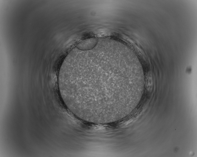 X0000098020523200804181206