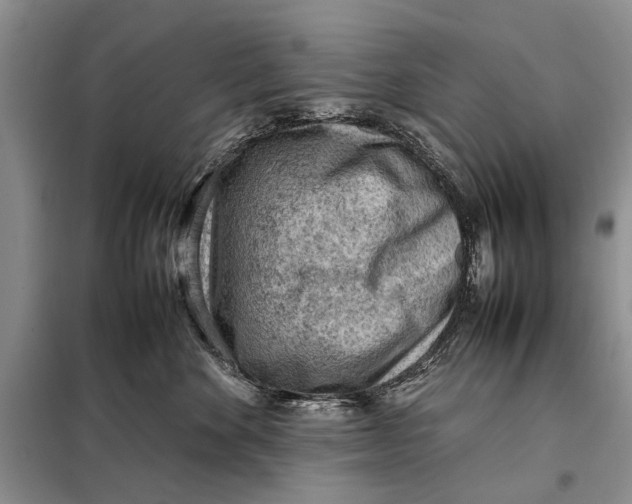 X0000098020524200804181206