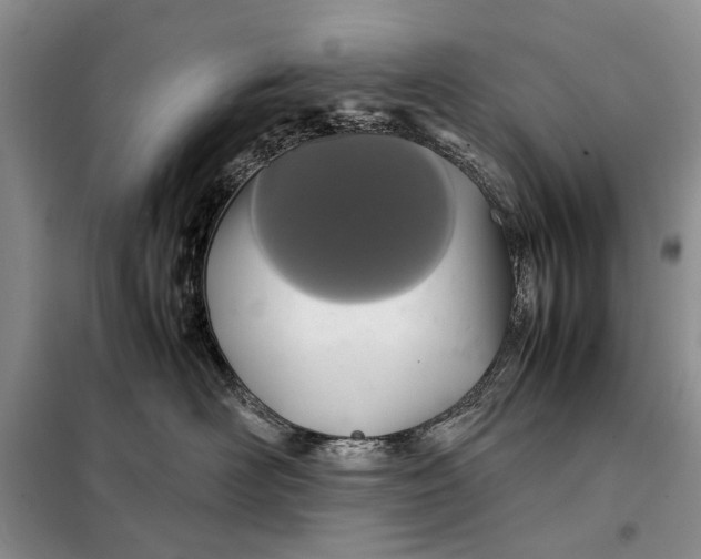 X0000098020526200804181205