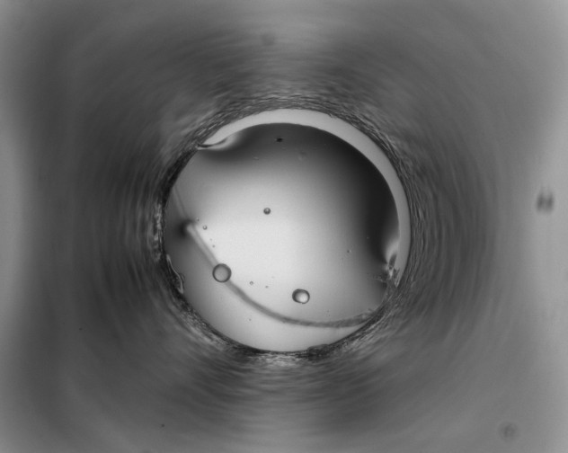 X0000098020528200804181205