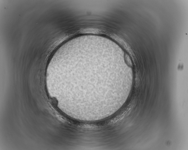 X0000098020529200804181205
