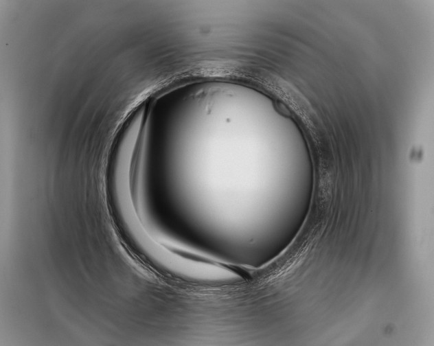 X0000098020530200804181205
