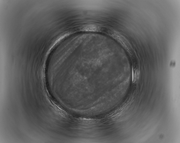 X0000098020531200804181205