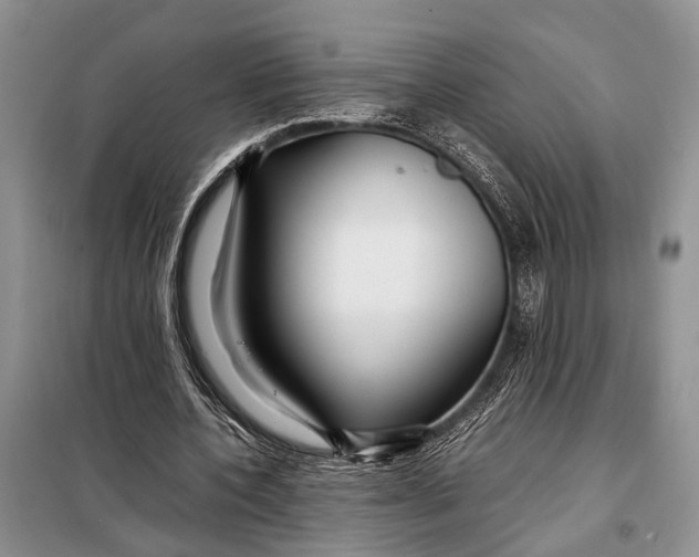 X0000098020532200804181205
