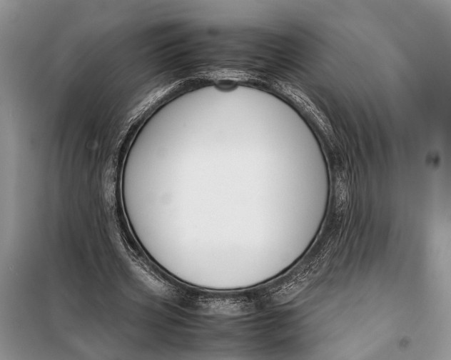 X0000098020533200804181205