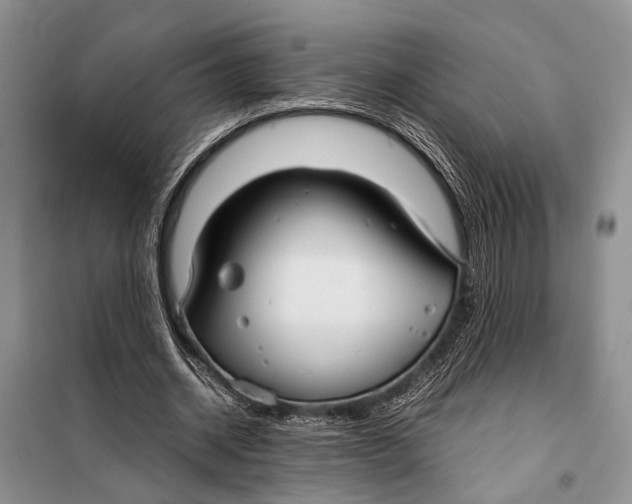 X0000098020534200804181205