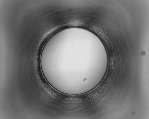 X0000098020535200804181205