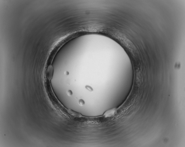X0000098020536200804181205