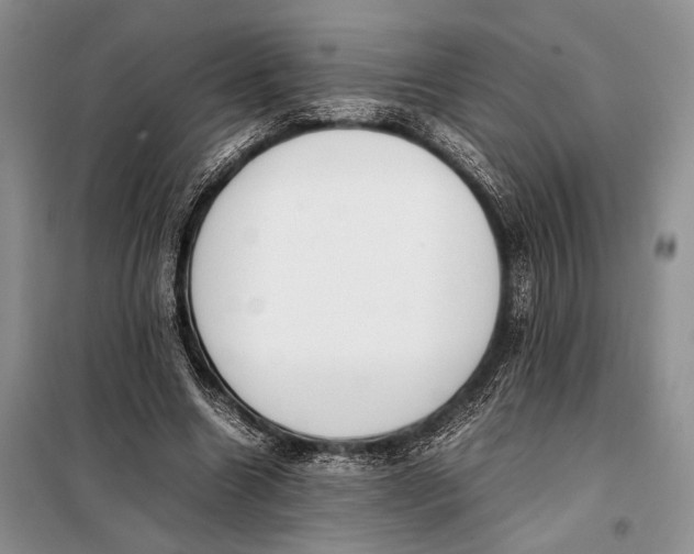 X0000098020538200804181205