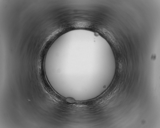 X0000098020539200804181205