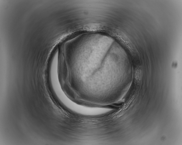 X0000098020540200804181205