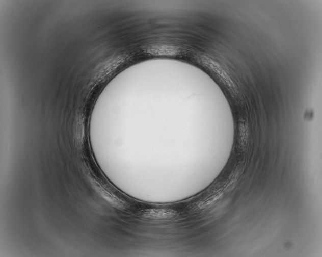 X0000098020541200804181205