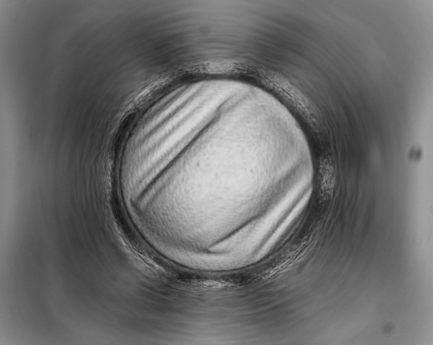 X0000098020542200804181205