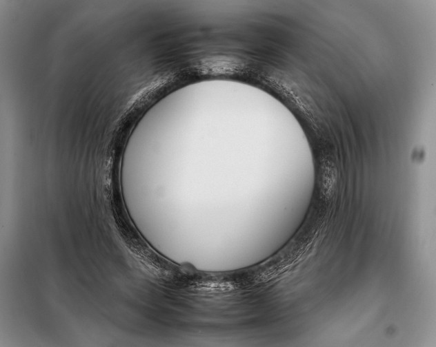 X0000098020543200804181205