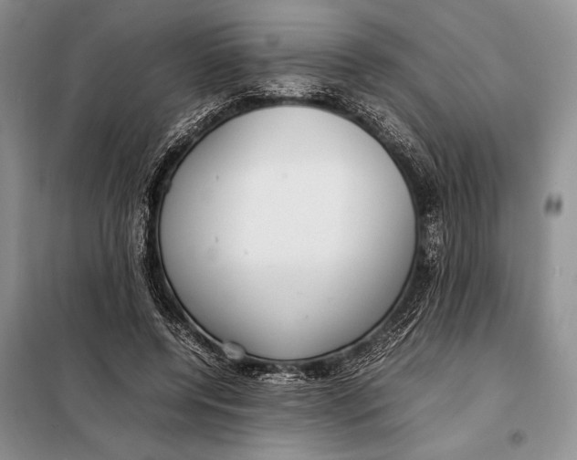 X0000098020544200804181205