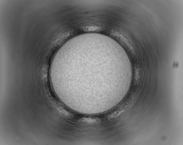 X0000098020545200804181205