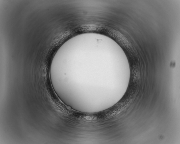 X0000098020546200804181205