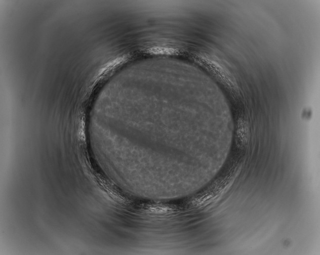 X0000098020547200804181205