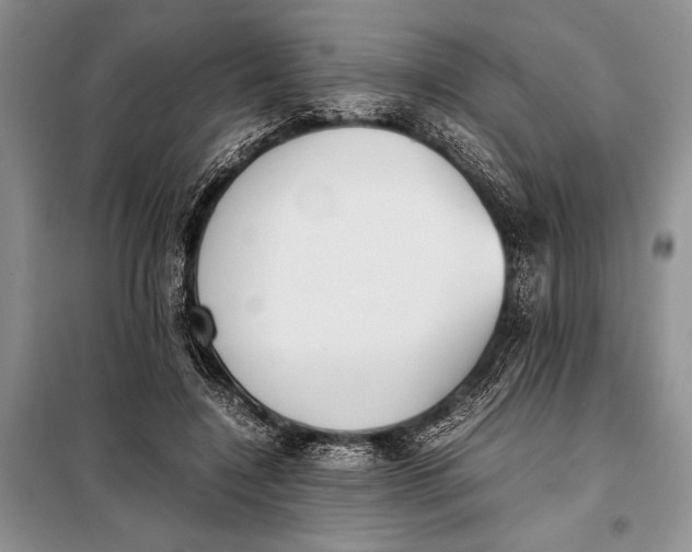 X0000098020548200804181205