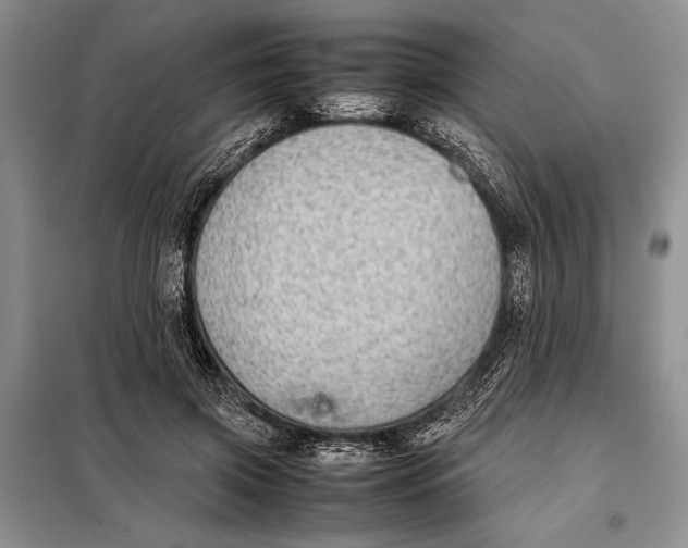 X0000098020549200804181205