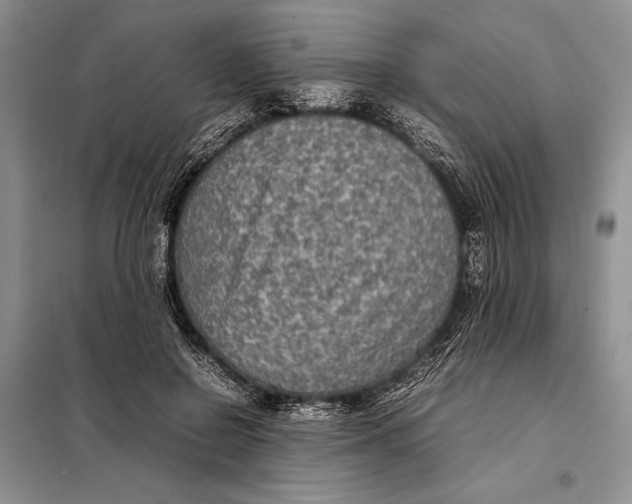 X0000098020550200804181205