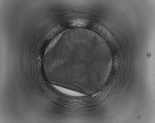 X0000098020551200804181205
