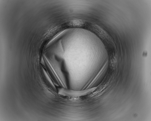 X0000098020552200804181205
